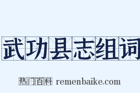 武功县志组词是什么意思的图片